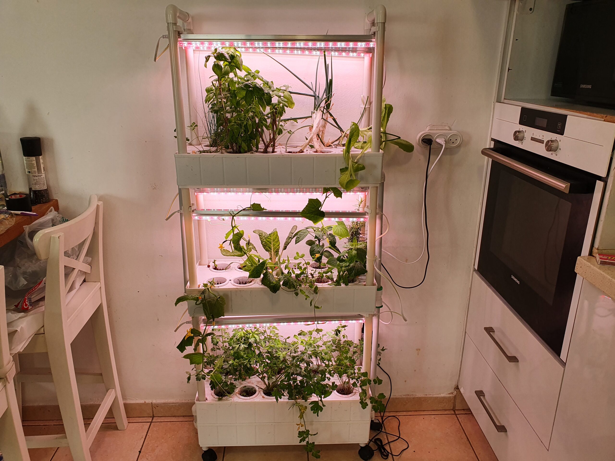 The hydroponic system in my kitchen